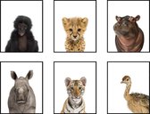 Poster Set 6 Jungle / Safari Baby Aapje Tijger Cheeta Nijlpaard Neushoorn Struisvogel - 40x30cm/A3 - Baby / Kinderkamer - Dieren Poster - Muurdecoratie