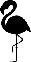 Pakket van 10: Wenskaart "Flamingo Black"