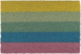relaxdays paillasson coco - tapis de noix de coco arc-en-ciel - tapis de marche à sec 40x60 - tapis d'entrée antidérapant