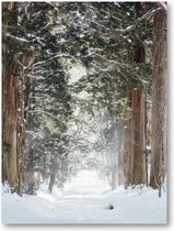 Winter Poster - Sneeuwbos bij Togakushi-heiligdom, Japan - A2 Poster Staand - 42x59cm - Besteposter - Natuur - Landschap