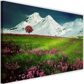 Schilderij Besneeuwde bergen en kleurrijke weide, 2 maten, Premium print