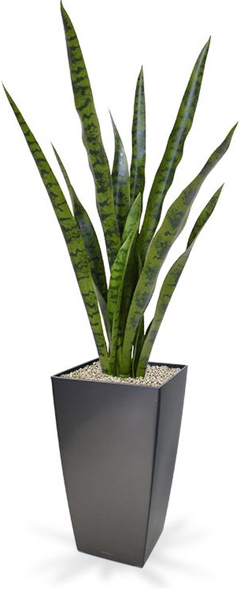 maxifleur Kunstplanten Sansevieria kunstplant 78 cm Groen