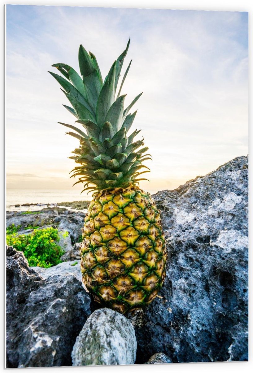Forex - Gele Ananas op Rotsen - 60x90cm Foto op Forex