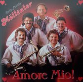 Die Fidelen Molltaler - Amore mio!