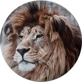 Muurbord "Leeuw" 30 cm ook als set "Big 5" te verkrijgen