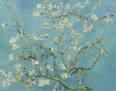 Vincent van Gogh, Amandelbloesem, 1890 op canvas, afmetingen van dit schilderij zijn 100 X 150 CM