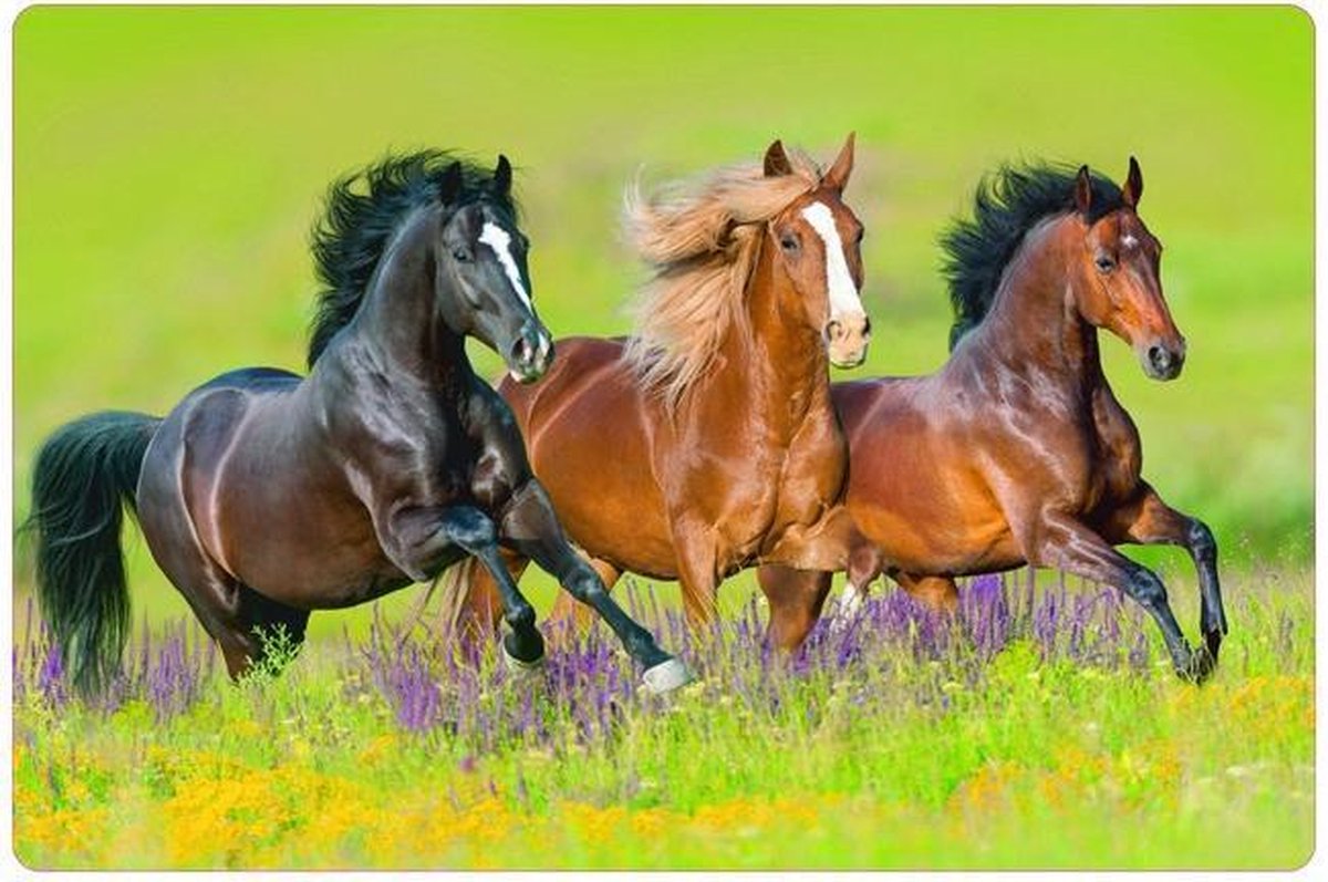 4x Placemat Meadow Horses | 30x45cm | anti-slip - onderlegger - tafeldecoratie - placemats kunststof - paarden