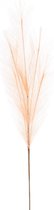 Veren - Pluimen | Licht roos – DECORATIEVE DROOGBLOEM - 80 cm - 2 stuks