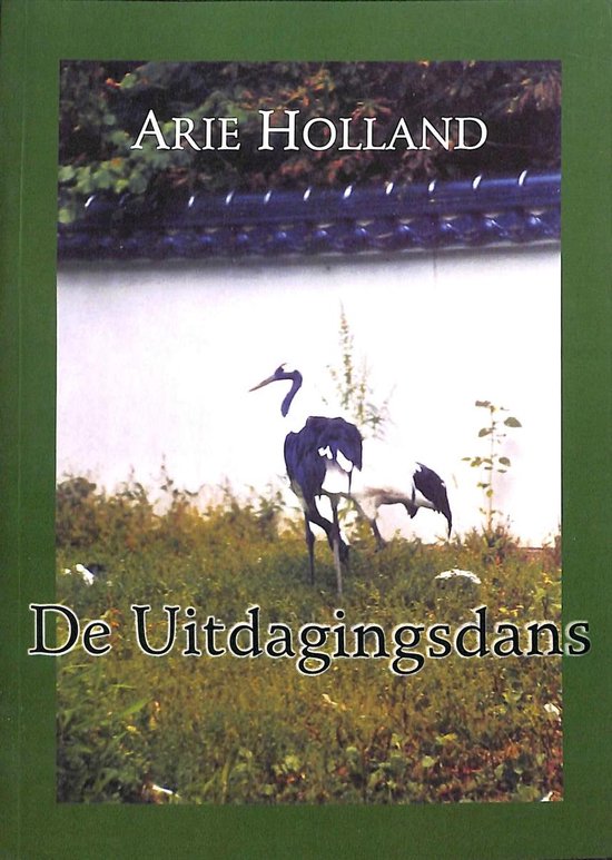 De uitdagingsdans - cover