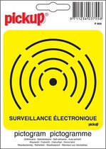 Pickup Pictogram 10x10 cm - surveillance électronique -alarme