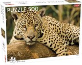 Puzzel Jaguar - 500 stukjes