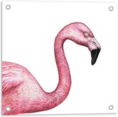 Tuinposter – Foto van een Roze Flamingo - 50x50cm Foto op Tuinposter  (wanddecoratie voor buiten en binnen)