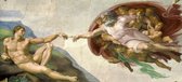 Michelangelo, De schepping van Adam,1511 op canvas, afmetingen van dit schilderij zijn 60 X 100 CM