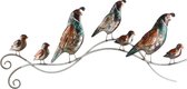Wanddecoratie - kleurrijke vogels - metaal schilderij - frame art - 81 x 37 cm
