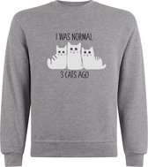 Sweater zonder capuchon - Jumper - Trui - Vest - Lifestyle sweater - Chill Sweater - Kat - Cat - I was normal 3 cats ago - S.Grey - XXL