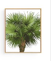 Poster Tropische Kokosnootboom - Tropische Planten / Bomen - Muurdecoratie - 40x30cm / A3 - Postercity