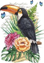 Toekan Vogel Strijk Applicatie Tropische 20.3 cm / 28.8 cm / Multicolor