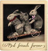 Een Poes En Twee Konijnen En Best Friends Forever Tekst Strijk Applicatie S - 7,9 x 8,4 cm