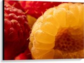 Canvas - Rood/Gele Frambozen - 100x75cm Foto op Canvas Schilderij (Wanddecoratie op Canvas)