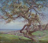 Puzzel 1000 stukjes  - Bloeiende Appelboom - Patrick Creyghton