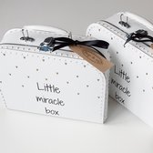 Kinderkoffertje van Bep&co: Koffertje Little miracle box -bekendmaking -zwangerschap -aankondiging -baby -opa en oma -cadeau