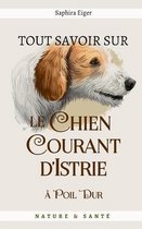 Tout Savoir Sur Le Chien d'Istrie a Poil Dur