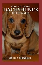 How to Train Dachshunds for Dummies