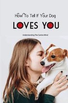 How To Tell If Your Dog Loves You- Understanding The Canine Mind