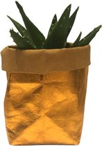 de Zaktus - Aloe Mitriformis - vetplant - paper bag oranje goud - Maat M