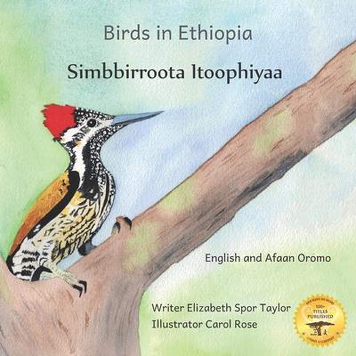 Birds in Ethiopia - Ready Set Go Books