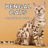 Bengal Cats