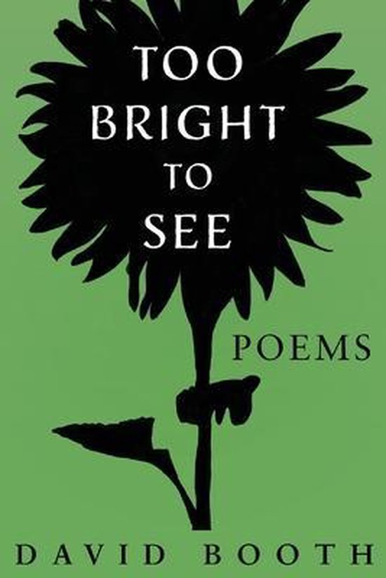 Too Bright to See - cover