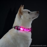 Roze leger print LED halsband maat L voor je hond | Verlichte halsband voor honden | Verkrijgbaar in S t/m XL en in meerdere kleuren | LED hals band | LED hondenriem | LED hondentu