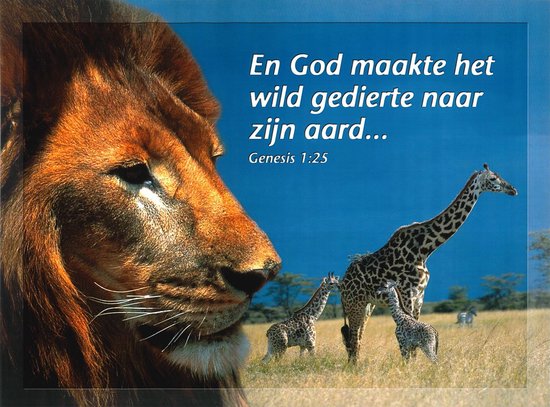 Christelijke poster 20x30 cm - Genesis 1:25