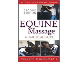 Equine Massage