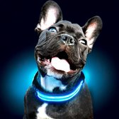 Blauwe LED halsband Maat S | honden halsband met verlichting | Licht in donker | 3 standen | LED hondenhalsband | LED hondenhalsband | LED hondenriem | LED hondenriem | Led hondent