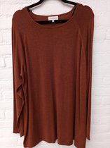 Only Carmakoma Carlady trui/Pullover Bruin maat 46/48