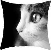 Dieren kussenhoes kat - Black and White - Sierkussen - 45x45 cm