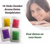 16-Stuks Gember Aroma Detox Voetpleisters