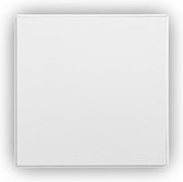 Ecosun VT 300 Infrarood Verwarmingspaneel - Infrarood Verwarming / Infraroodpaneel - 300 watt - Verlaagd systeemplafond (doorzakprofiel 15mm) - Glad infrarood paneel - Zonder stekker
