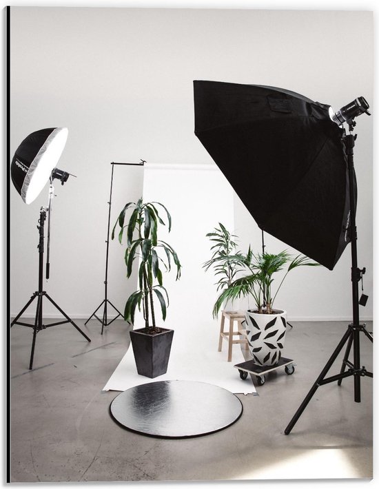 Dibond - Studiolampen met Plantenpot - 30x40cm Foto op Aluminium (Wanddecoratie van metaal)