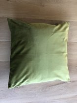 DB Lifestyle kussenhoes 40x40cm olijfgroen | vierkant | fluwelen effen sierkussen