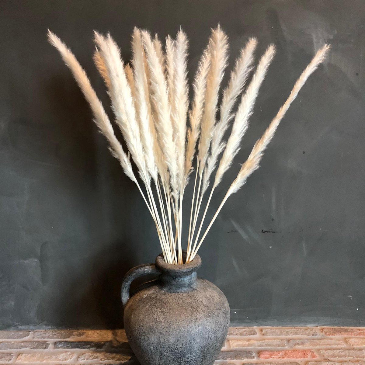 Pampas pluimen | Pampas gras | Droogbloemen | 15 stuks | BloomitUp