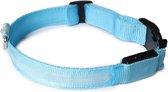 PetSpace | Hondenhalsband | Lichtgevend | Halsband | verstelbaar | Blauw | Led | Oplaadbaar met USB |