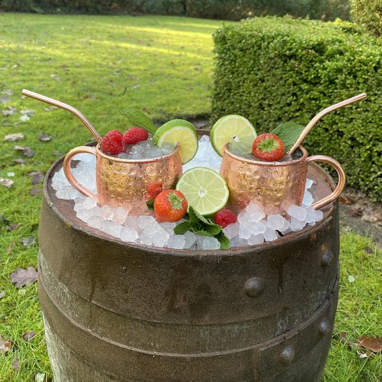 Chefs Cuisine moscow mule bekers cocktail set moscow mule koperen