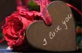 I Love You - Moeilijke Valentijn Puzzel - 1000 Stukjes