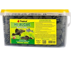 Tropical Hi-Algae Disc XXL (5 Liter) - Aquarium Visvoer