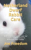 Netherland Dwarf Rabbit Care: Netherland Dwarf Rabbit Care