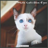 White Cats Blue Eyes 2021 Wall Calendar