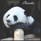 Panda 2021 Wall Calendar